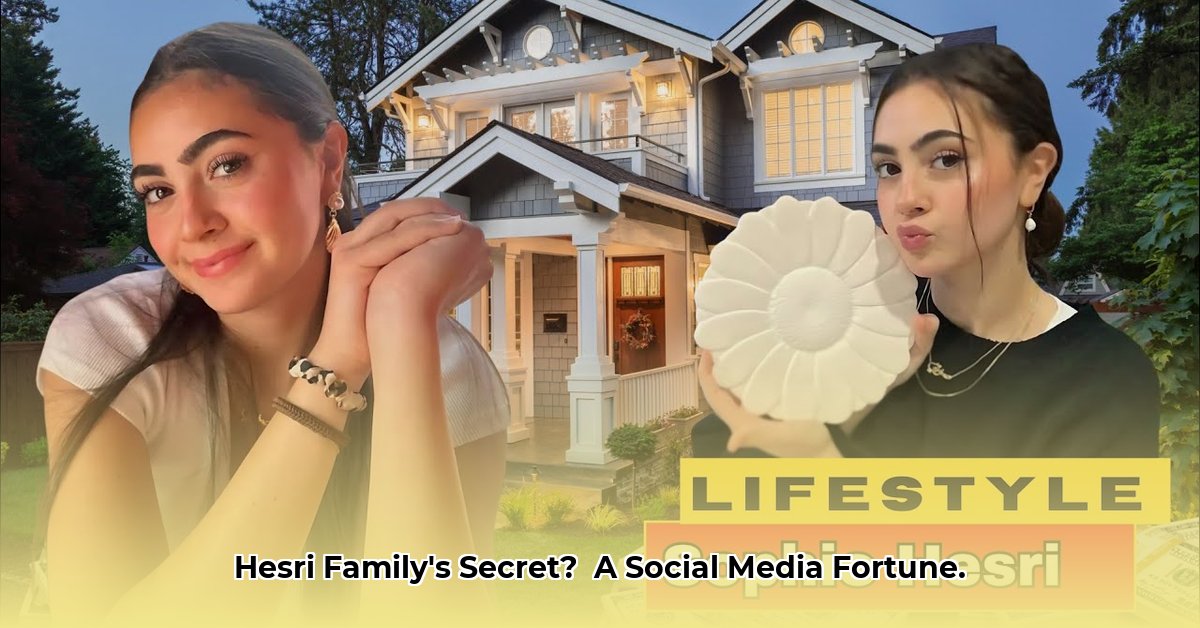 hesri-family-net-worth